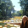 Mauritius Botanische Garten