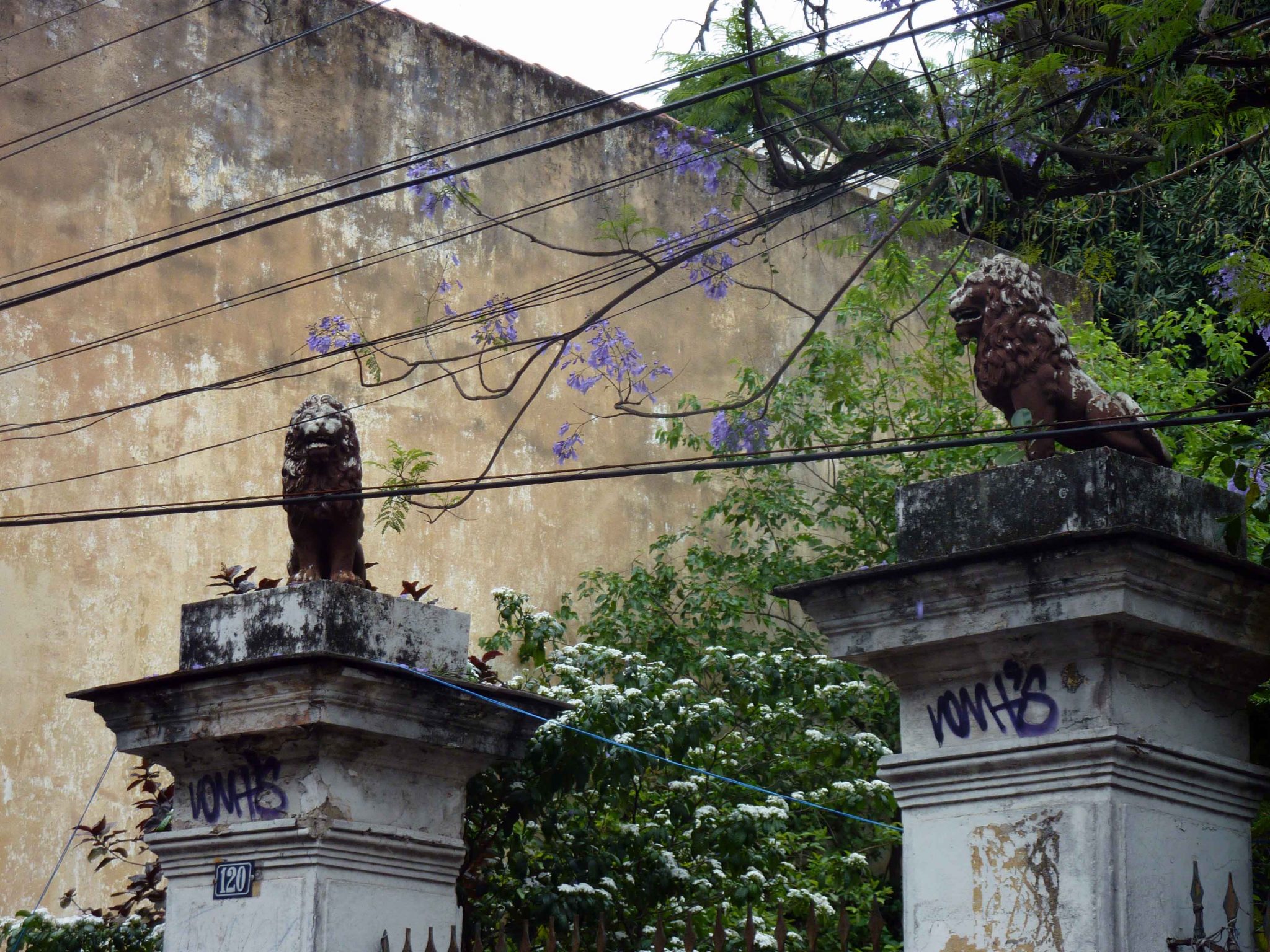 P1000546