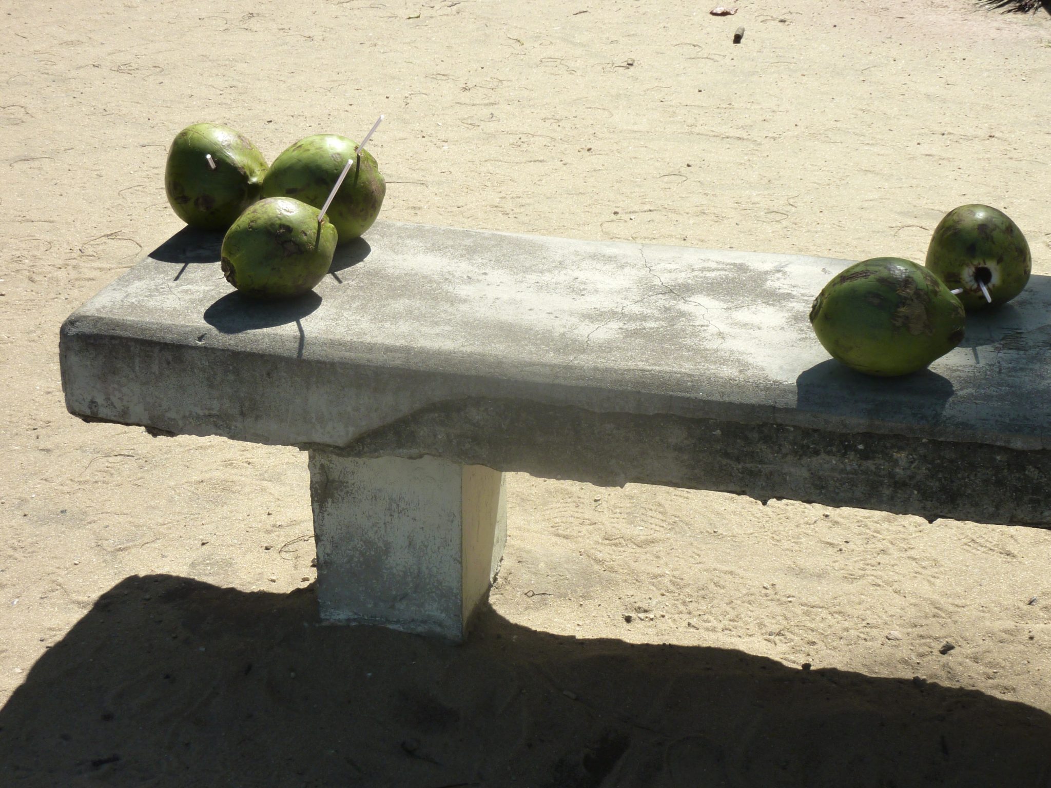 Unter Palmen