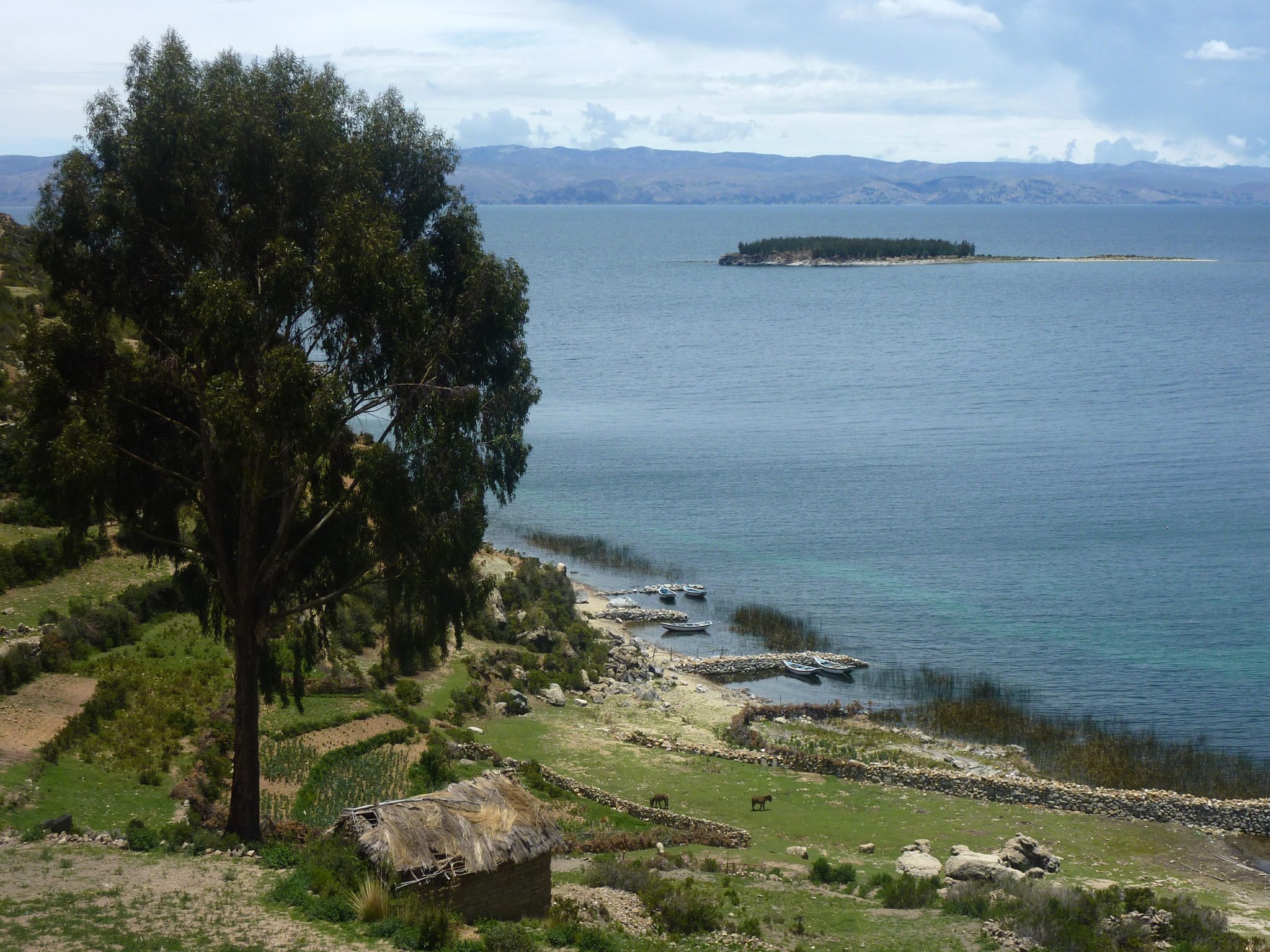 P1040455