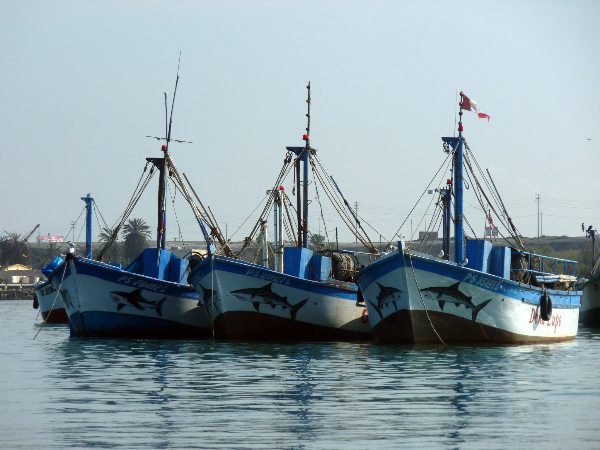 P1040894