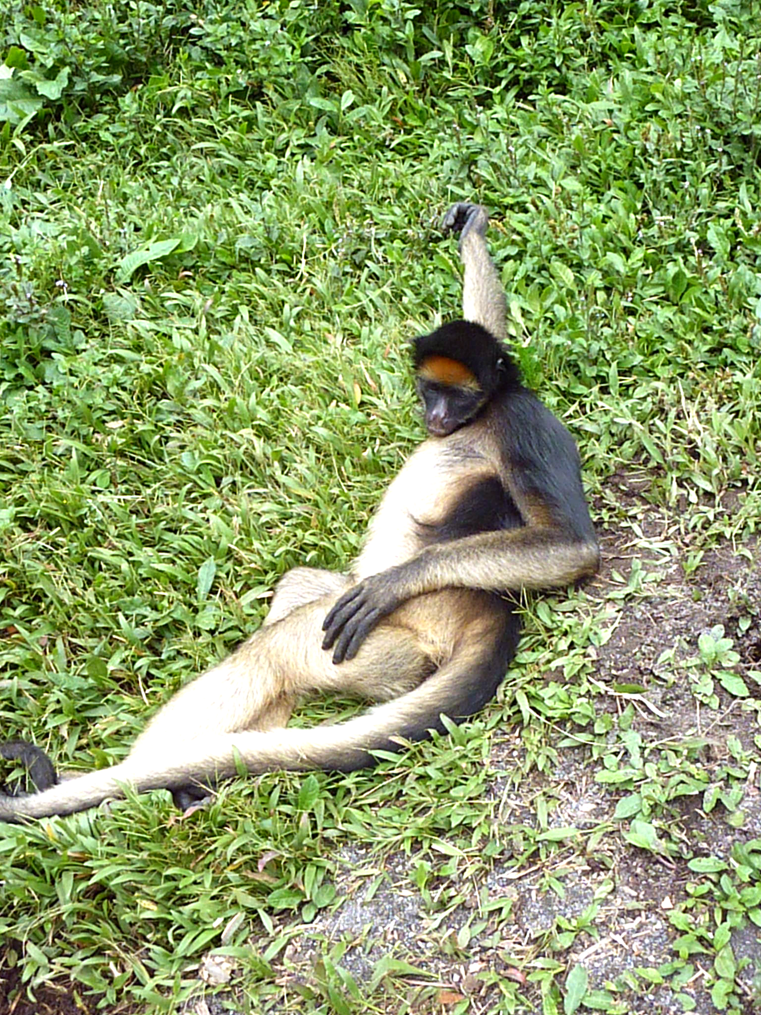 P1050221