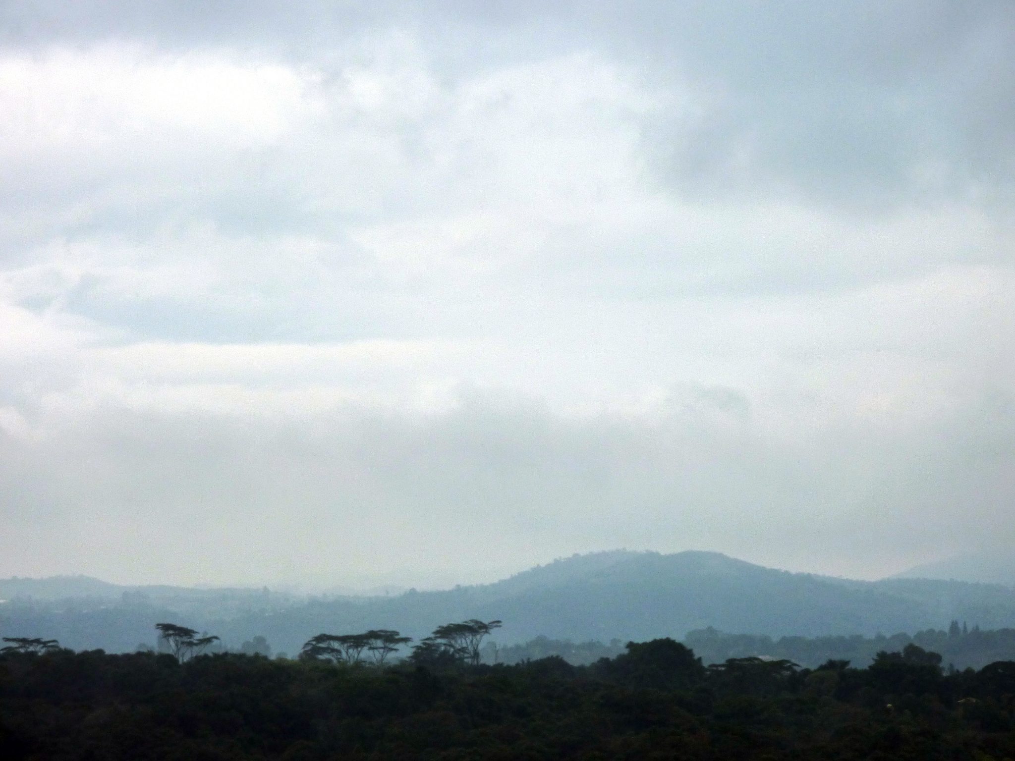 P1050678