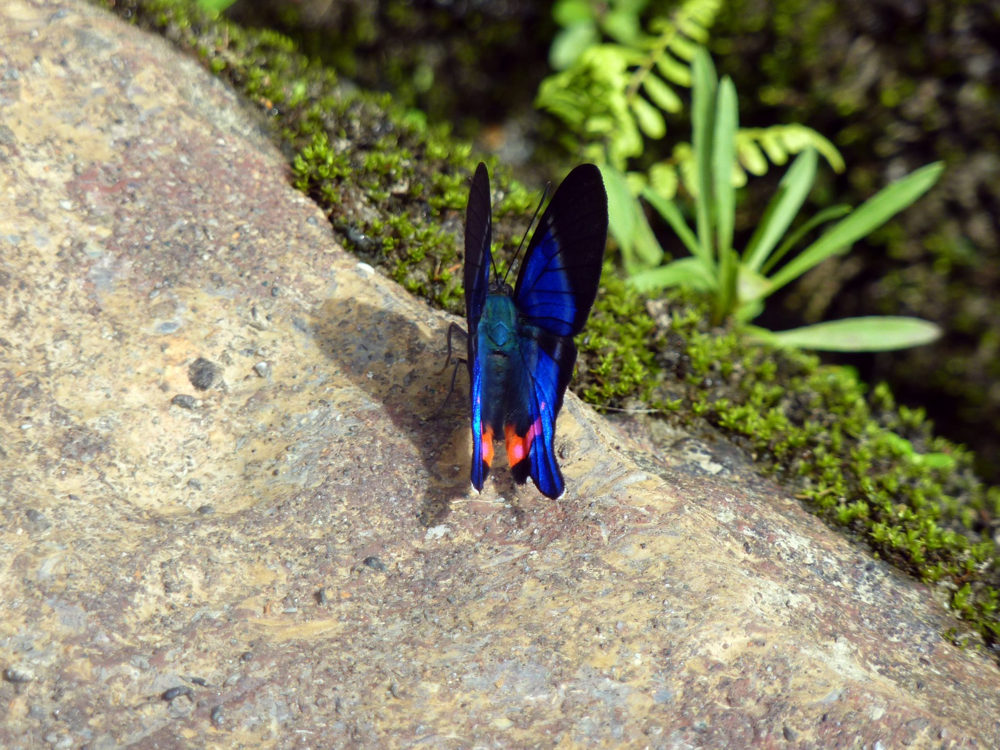 P1050803