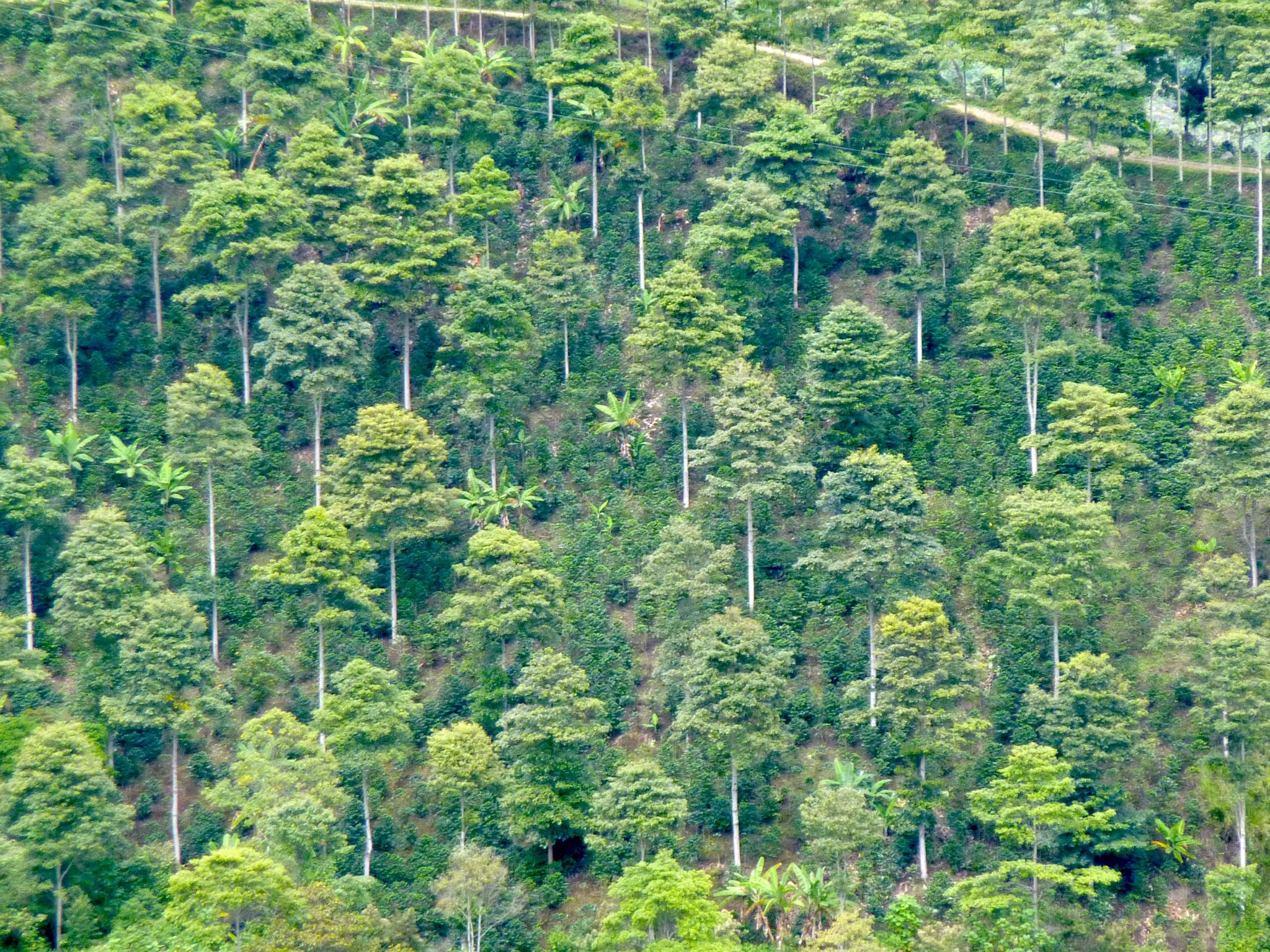P1050870