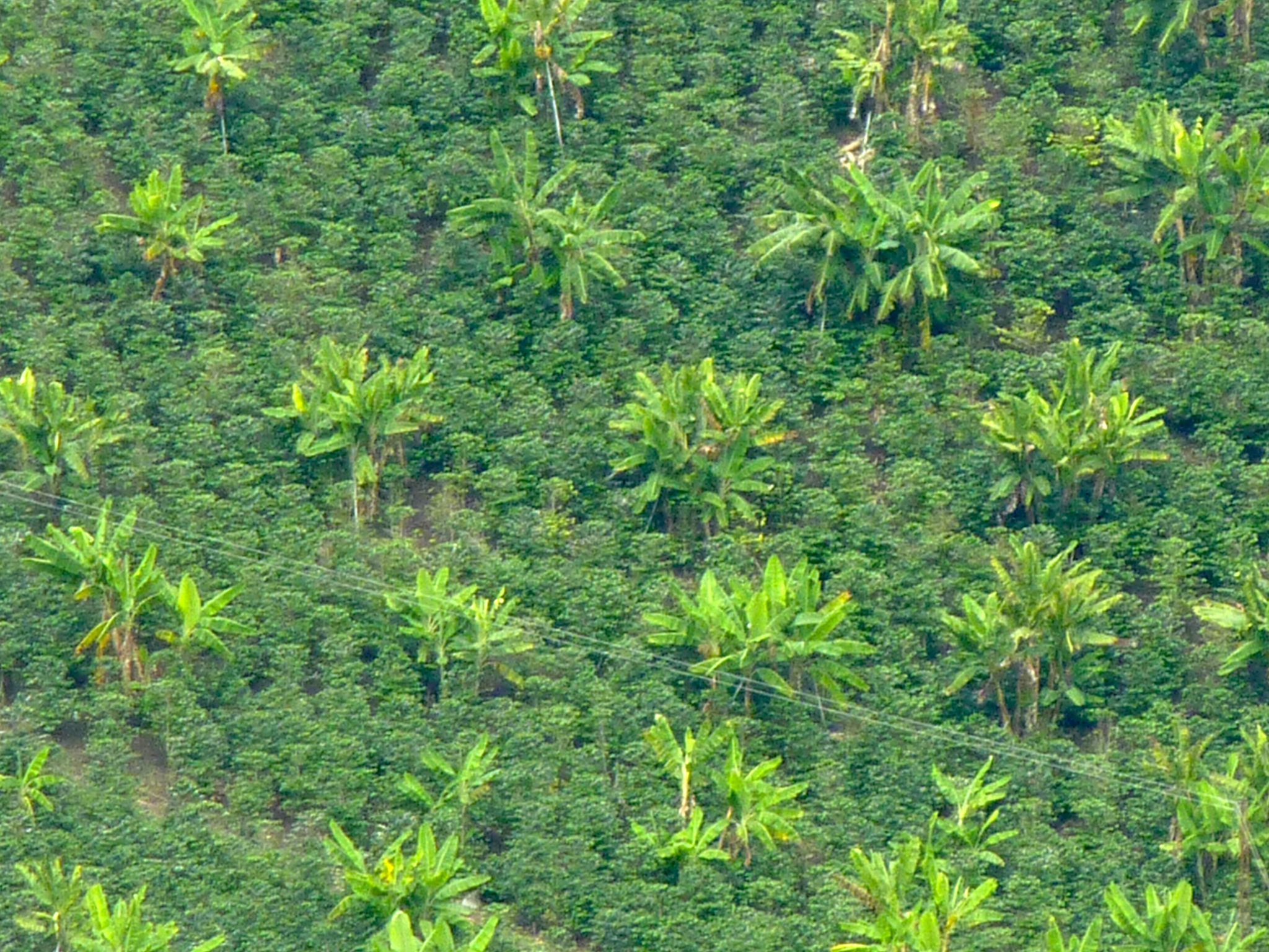 P1050872