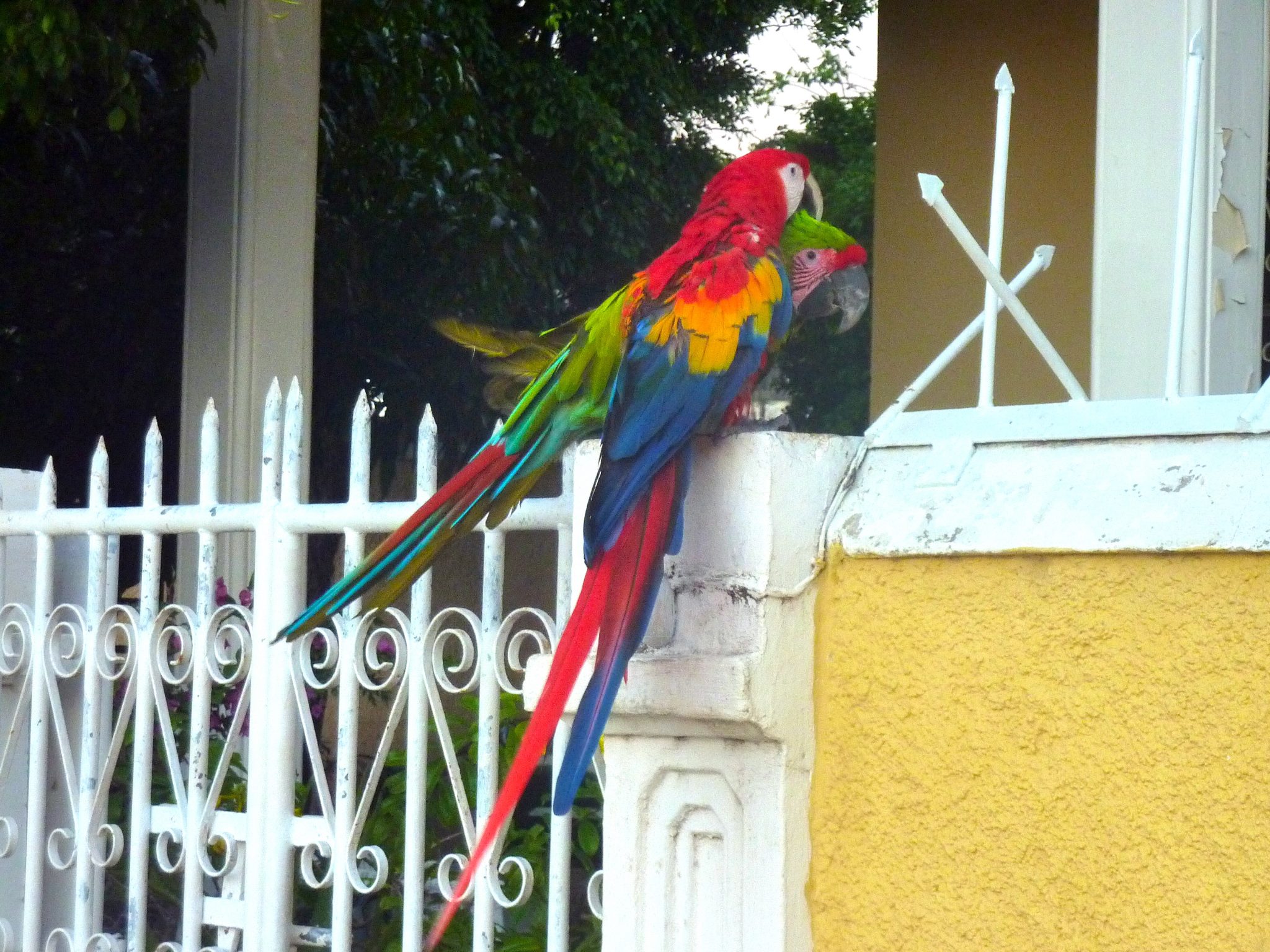 P1070665