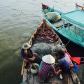 Eine Reise nach Phu Quoc Vietnam