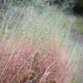 Farben Neuseelands
