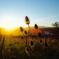 Sonnenuntergang Easte Cape Neuseeland
