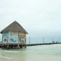 Steeg Walhaie Holbox