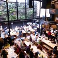 Restaurant Tipps Mexiko City