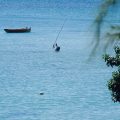 Angeln Mauritius