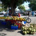 Goodlands Echtes Mauritius