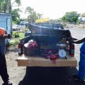 Echtes Mauritius