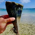 Kitesurfen Mauritius
