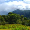 Black River National Park Mauritius Wandern