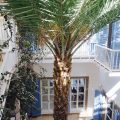 Casa Velha Resort Airbnb Boa Vista