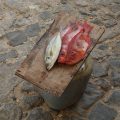 Frischer Fisch Essen Boa Vista