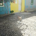 Kleine Dörfer Boa Vista Kap Verde