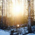 Reisetipps Finnland Winter