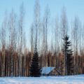 Finnischer Winter