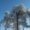 Winterwonderland Finnland