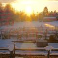 Rentierfarm Finnland