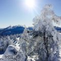 IMG_7373