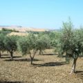 Landschaft-Landesinnere-Sizilien