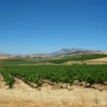 Landschaft-Sizilien