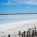 Camargue-Beauduc