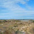 Camargue_Kiten_Beauduc