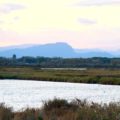 Camargue_Provence