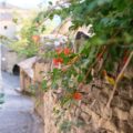 Gordes_Frankreich
