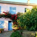 Hyeres_Suedfrankreich