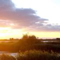 Landschaft_Camargue