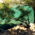 Les-Calanques-Provence