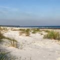 Dueodde_Bornholm_Natur_Strand