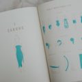Reisehandbuch_Reis_aus_Illustration