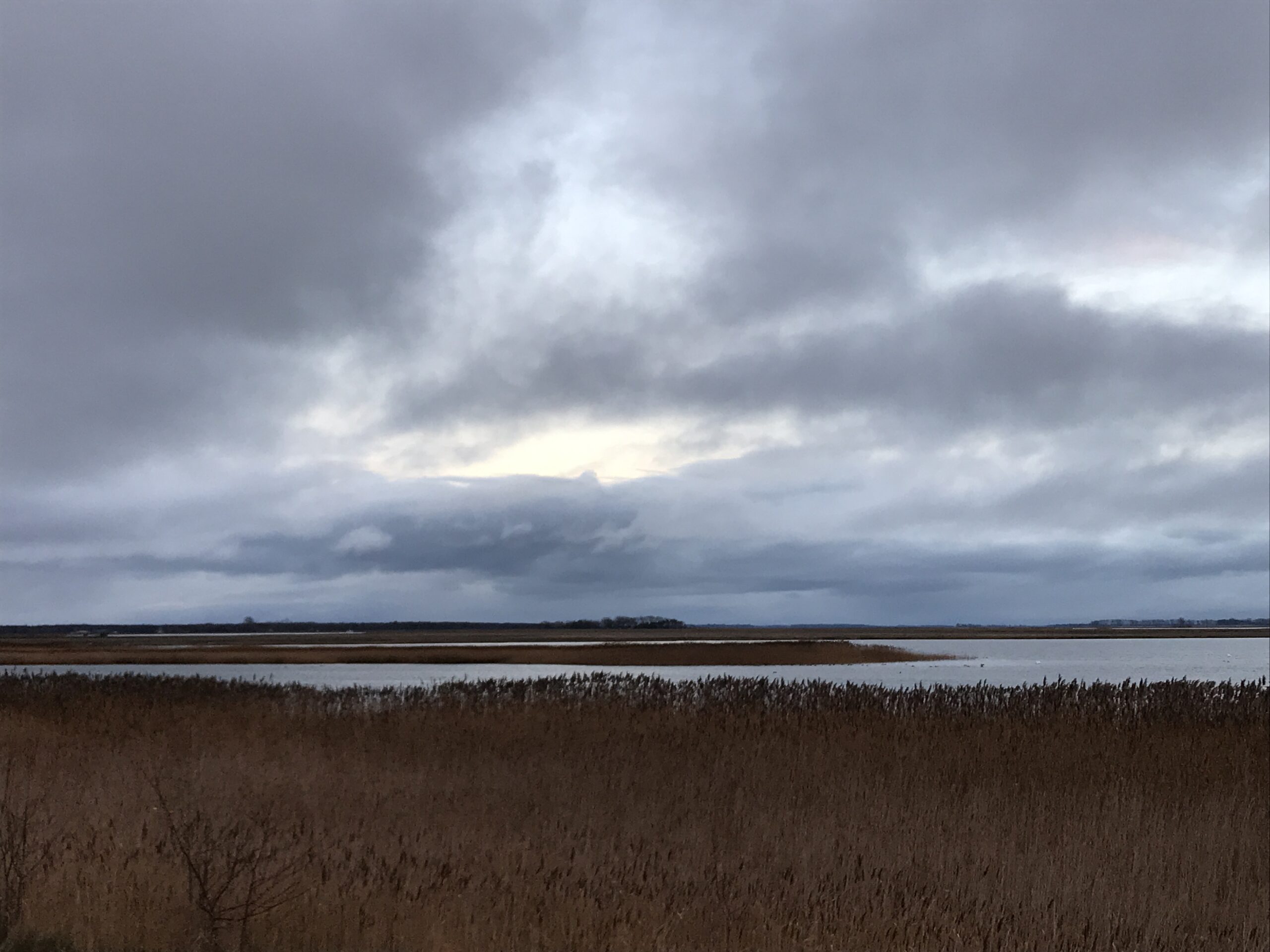 Reiseblog Fischland Deutschland Ostsee