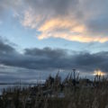 Reiseblog Fischland Deutschland Ostsee