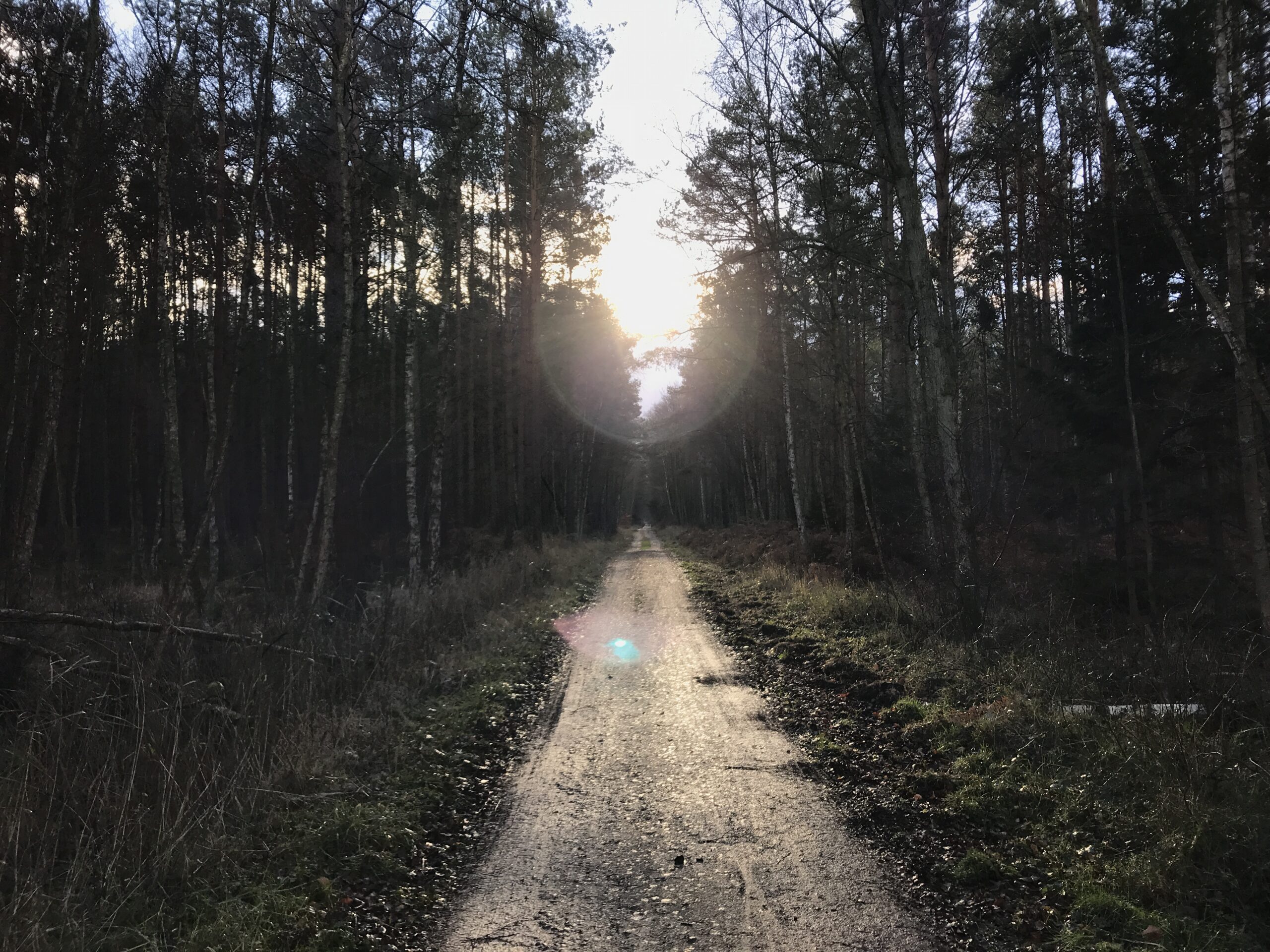 Reiseblog Fischland Deutschland Ostsee