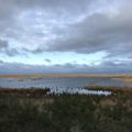 Reiseblog Fischland Deutschland Ostsee