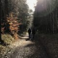 Reiseblog Fischland Deutschland Ostsee